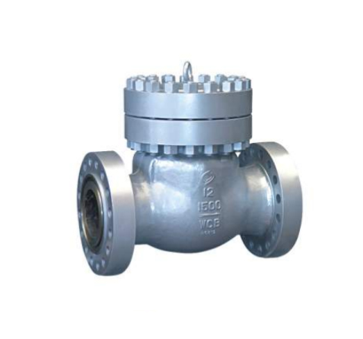 Swing Check Valve